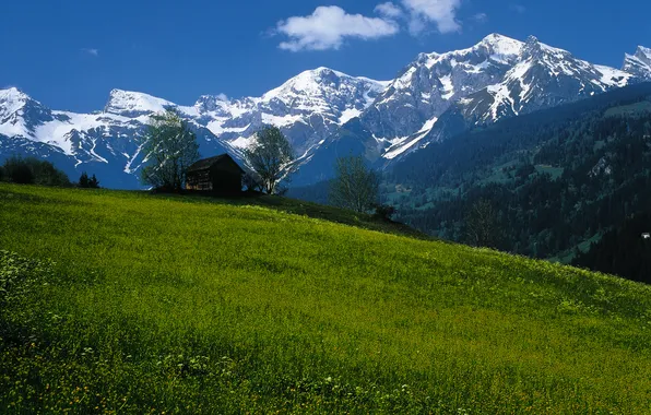 The sky, mountains, Austria, meadow, house