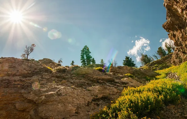 The sun, nature, Park, photo, USA, rays of light, Grand Teton