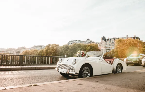 Retro, 1954, jaguar, retro, jaguar xk140, xk140