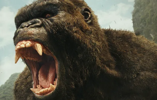 Picture cinema, movie, gorilla, film, strong, Kong: Skull Island, Skull Island, King Kong: