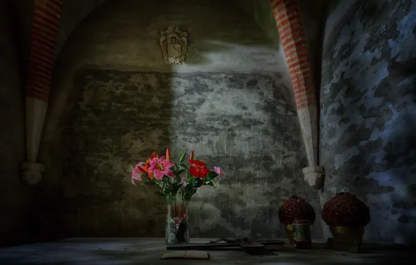 Picture flowers, background, the crypt