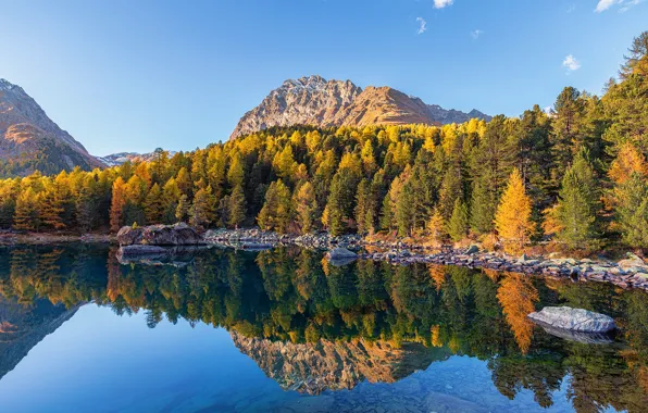 Autumn, forest, reflection, shore, pond, Golden autumn, crown, bright foliage