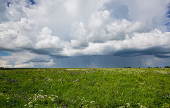 Field, summer, clouds, clouds, nature, expanse, June, summer evening