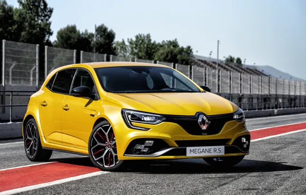 Renault, hatchback, 2018, Trophy, Megane RS