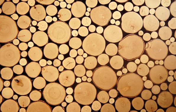 Picture wood, circles, cut logs