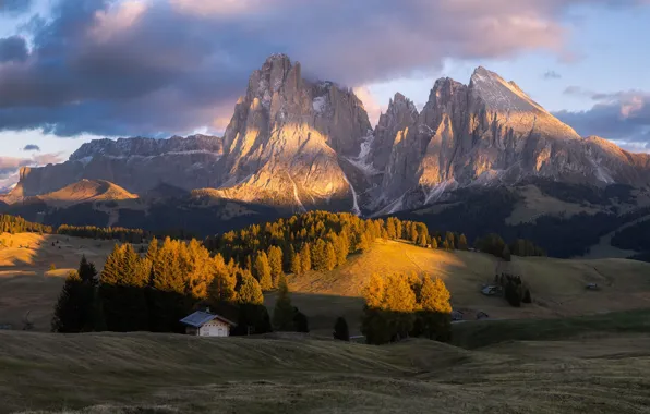 Forest, light, mountains, Alps, houses