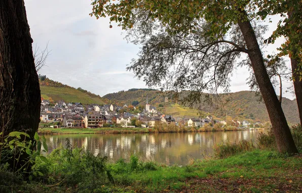 Picture trees, the city, river, hills, shore, field, home, Germany