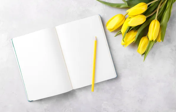 Flowers, bouquet, tulips, Notepad, pencil