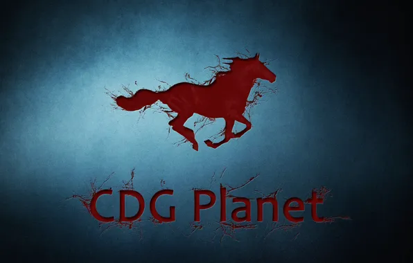 Picture game, horse, company, CDG Planet