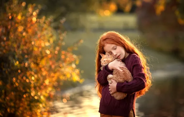 Picture kitty, hair, girl, red