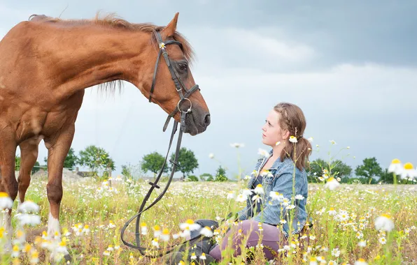 Picture girl, horse, chamomile