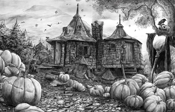 Picture Harry Potter, black and white, Harry Potter, Hogwarts, Digital drawing, Procreate, Robbie Coltrane, Hagrid's House