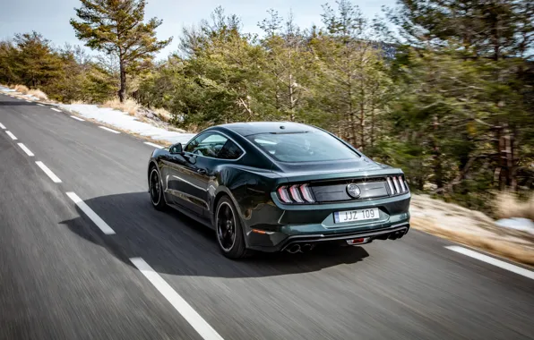 Picture road, Ford, rear view, 2018, V8, Mustang Bullitt, 5.0 L., 460 HP