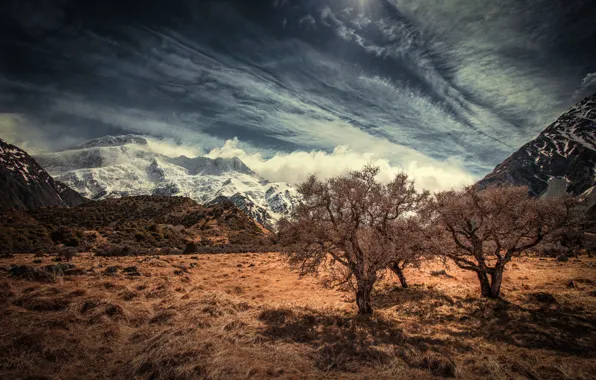 Picture the sky, clouds, trees, mountains