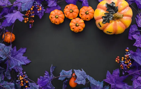 Picture purple, Halloween, pumpkin, Halloween, berries, pumpkin