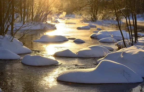 Picture winter, snow, trees, nature, river, Hannu Koskela