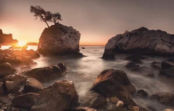 Picture sea, the sun, rays, light, trees, sunset, stones, rocks
