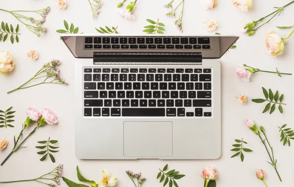 Flowers, Keyboard, Background, Laptop