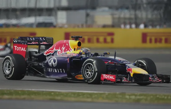 Racer, Formula 1, Vettel, Champion, Sebastian, RB10