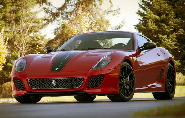 Picture forest, trees, red, Ferrari, supercar, 599, GTO, the front