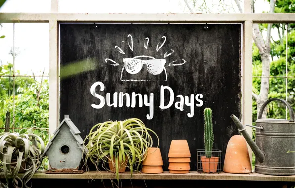 Picture the inscription, plants, cactus, birdhouse, lake, Board