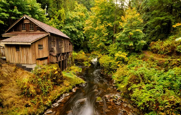 Autumn, forest, trees, stream, stones, Washington, USA, water mill