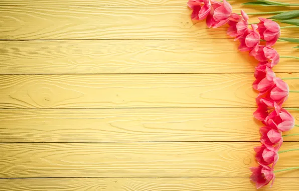 Flowers, tulips, love, March 8, heart, wood, pink, romantic