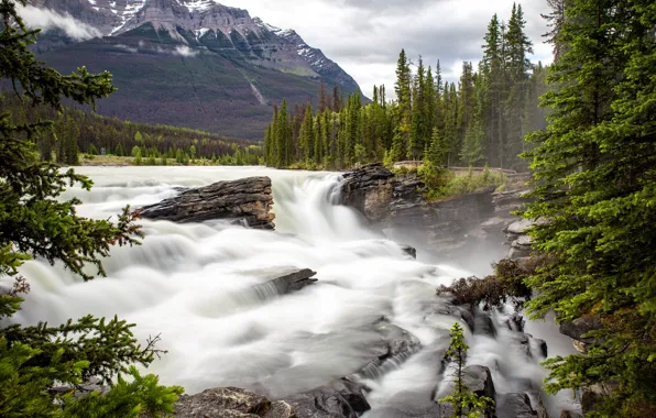 Picture forest, the sky, water, mountains, rocks, shore, view, waterfall