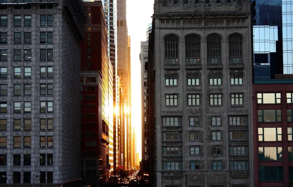 Picture Chicago, National Geographic, Sunset, Downtown, Architecture Buildings