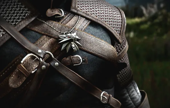 Look, The Witcher, Geralt, The witcher 2 assassins of kings, the Witcher 2 assassins of …