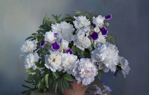 Flowers, beauty, peonies, Peony charm, Vera Pavlukhina