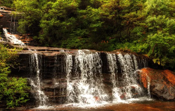Picture stream, stones, waterfall, Australia, cascade, the bushes, Wentworth Falls