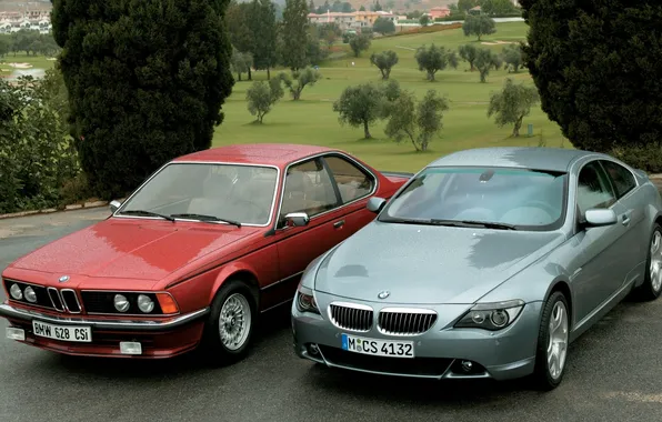 Picture trees, red, Park, grey, BMW, BMW, and, 6 Series