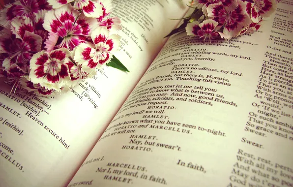 Picture flowers, bouquet, book, history, Shakespeare, hamlet