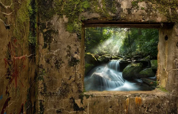 Picture forest, wall, view, waterfall, window, topics