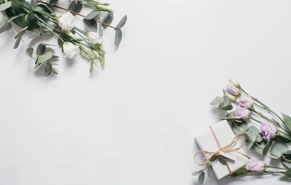 Flowers, gift, white, fresh, pink, flowers, beautiful, gift