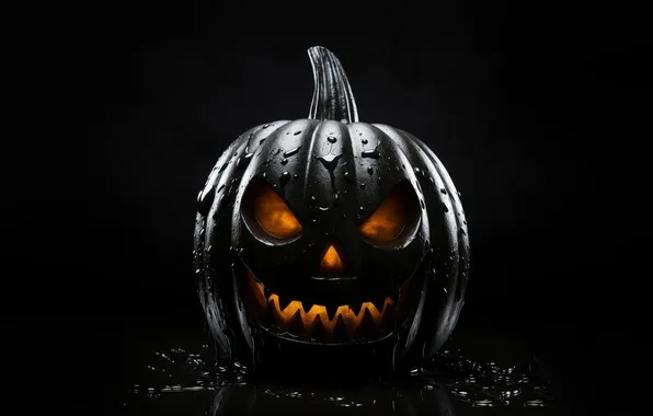 Holiday, Halloween, pumpkin, Halloween, black pumpkin