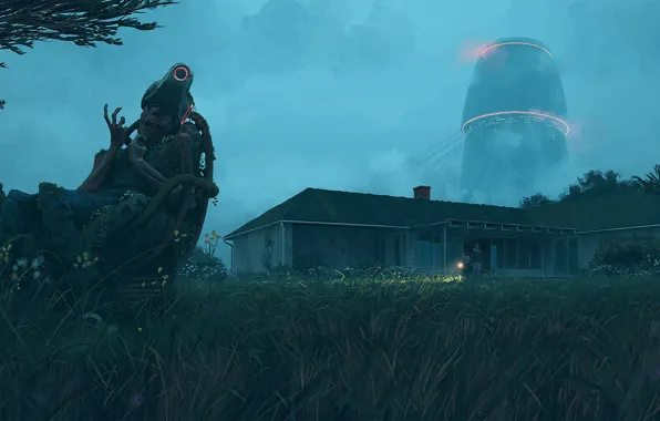 Grass, house, being, flashlight, home