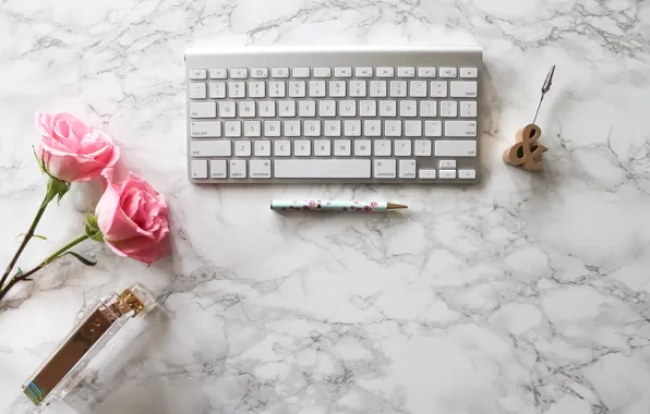 Picture roses, handle, pink, flowers, roses, keyboard, marble