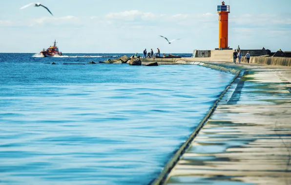 Picture sea, summer, lighthouse