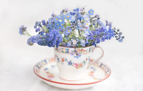 Cup, light background, saucer, forget-me-nots
