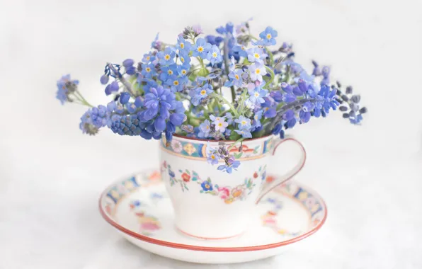 Cup, light background, saucer, Forget-me-nots