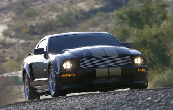 Mustang, Shelby, GT500