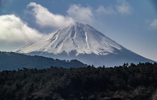 The sky, clouds, trees, landscape, mountain, the volcano, Japan, Fuji