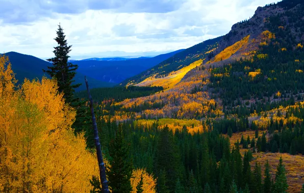 Picture mountains, trees, the colors of autumn, the sky, autumn, forest