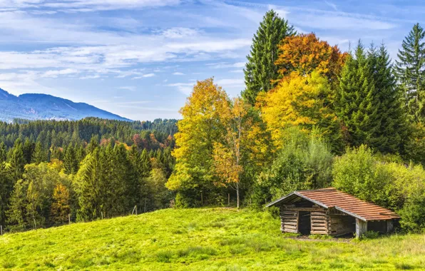 Picture Nature, Trees, Forest, Landscape, Hut