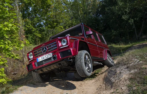 Picture Mercedes-Benz, SUV, the front, G500, G-Class, 2015, G 500, V8 Biturbo