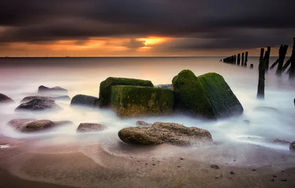 Sea, sunset, clouds, stones, shore, moss