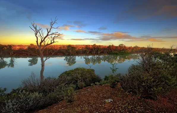 Trees, sunset, reflection, river, the evening