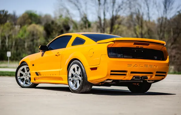 Mustang, Ford, 2008, Saleen, S302, Extreme